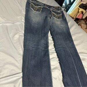 Earl Jeans Blue Straight Leg Denim with Embroidery